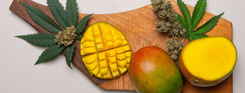 Cannabis Flavour