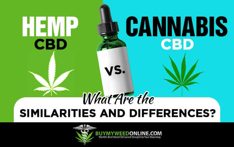 Hemp-CBD-Vs-Cannabis-CBD