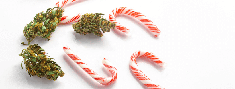 Cannabis for Christmas
